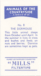 The Dormouse.