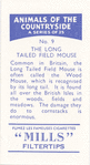 The Long-tailed Field Mouse.