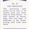 The Hedgehog.