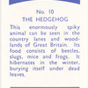 The Hedgehog.