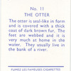 The Otter.