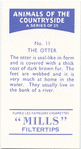The Otter.