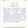 The Fox.