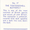 The Tortoiseshell Butterfly.