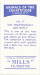 The Tortoiseshell Butterfly.