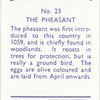 The Pheasant.