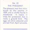 The Pheasant.