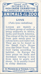 Lynx.
