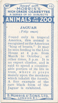 Jaguar.