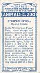 Hyæna.
