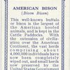 American Bison.