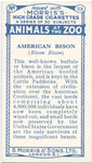 American Bison.