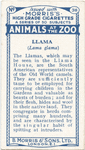 Llama.