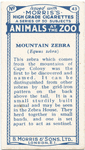 Mountain Zebra.