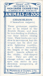Chamæleon.