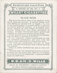 Black Bear.