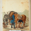 Switzerland, 1852-59