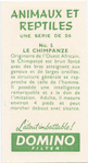 Le Chimpanze.