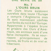 L'Ours brun.
