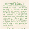 Le Tapir Bresilien.