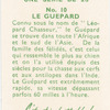 Le Guépard.