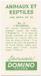 L'Ecureuil.