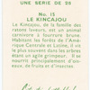 Le Kincajou.