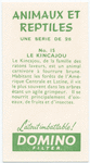 Le Kincajou.