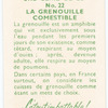 La Grenouille comestible.