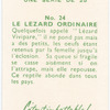 Le Lézard ordinaire.