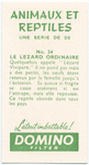 Le Lézard ordinaire.