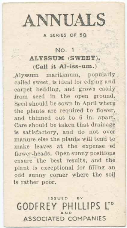 Index