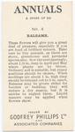 Balsams.