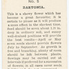Bartonia.