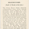 Brachycome.