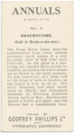 Brachycome.