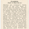 Clarkia.