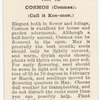 Cosmos (Cosmea).