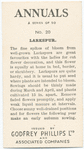 Larkspur.