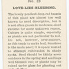 Love-lies-bleeding.
