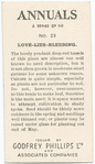 Love-lies-bleeding.