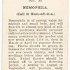 Nemophila.
