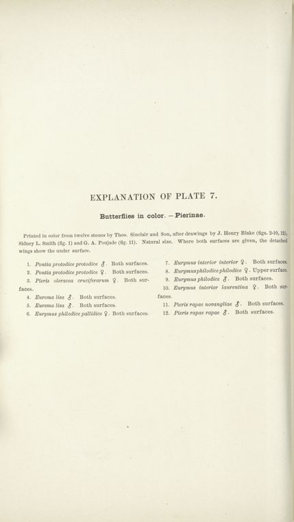 Index