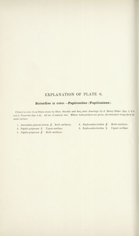 Index