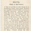 Salvia.