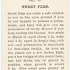 Sweet Peas.
