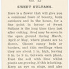 Sweet Sultans.