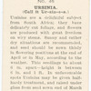 Ursinia.
