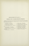 Butterflies in black. -  Lycaenidae, Papilionidae, Hesperidae.