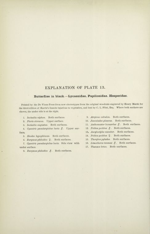 Index